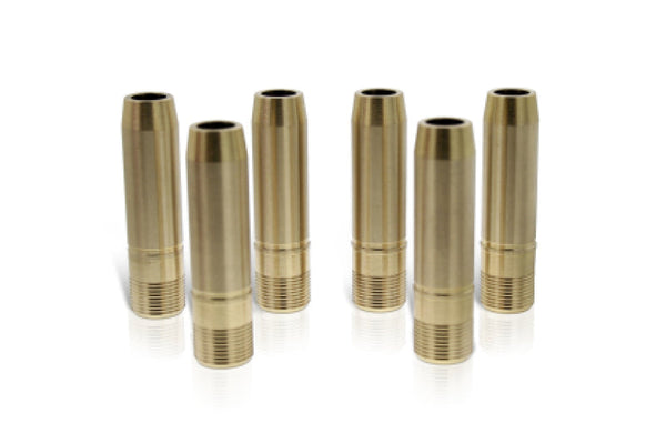 Ferrea 06-08 Toyota FJ Cruiser 1GR-FE 5.5mm Stem Dia Intake Valve Guides - Set of 12