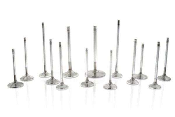 Ferrea Toyota G16E-GTS 32.8mm Head 5.47mm Stem Dia Competition Plus Intake Valve - Set of 6