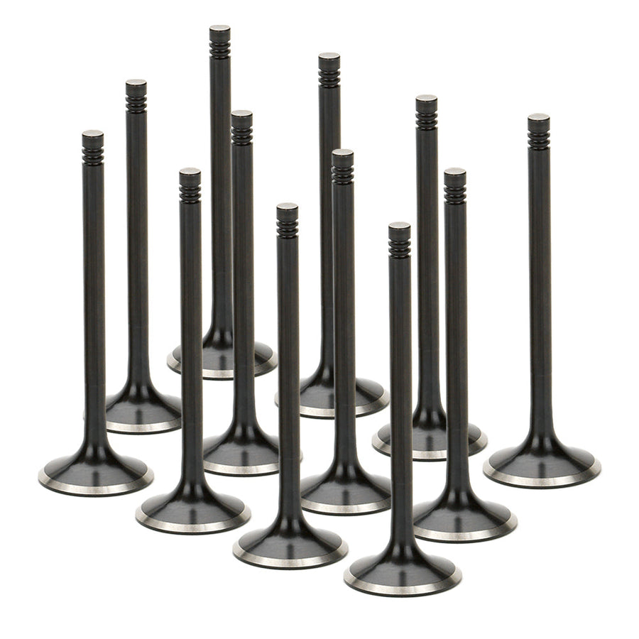 Stainless Steel Black Nitride Exhaust Valves for a BMW / M52 - Oversize +1mm | Supertech Performance Engine Valves