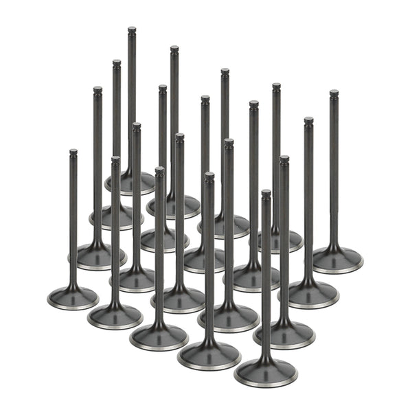 Stainless Steel Black Nitride Intake Valves for a BMW / S85 V10 | Supertech Performance Engine Valves