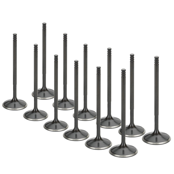 Stainless Steel Black Nitride Intake Valves for a BMW / M54 | Supertech Performance Engine Valves