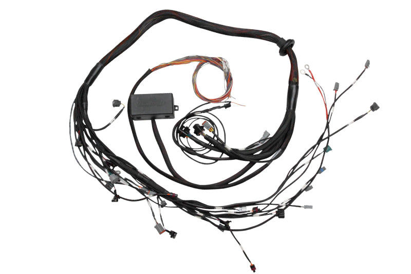 Elite 2000/2500 Toyota 2JZ Term Main Engine Harness only
