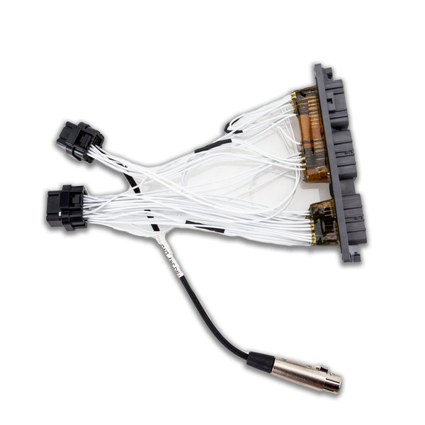 TITAN MOTORSPORTS MOTEC Plug & Play FOR THE 2JZ-GTE