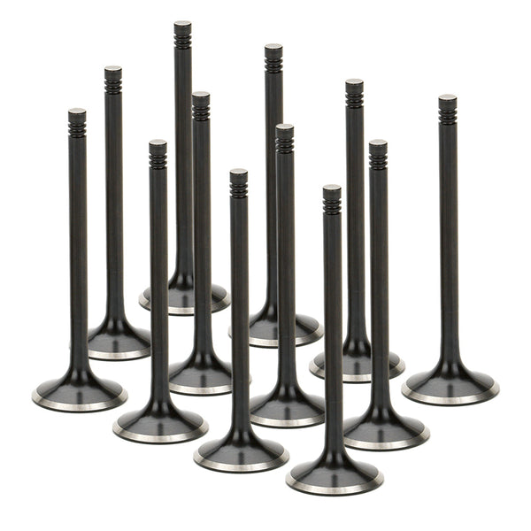 Stainless Steel Black Nitride Exhaust Valves  for a BMW / S50B32 Euro Version | Supertech Performance Engine Valves