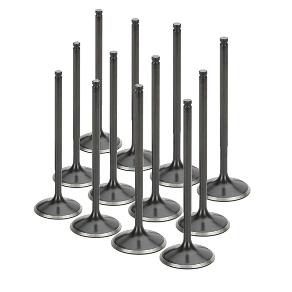 Stainless Steel Black Nitride Intake Valves for a BMW / N55 Turbo | Supertech Performance Engine Valves