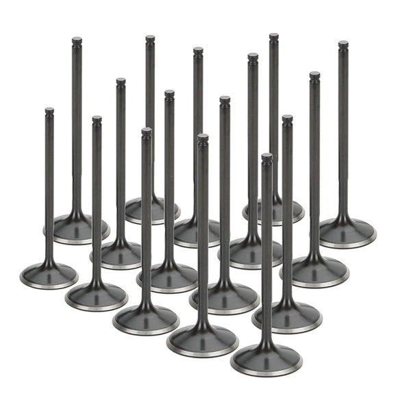 Stainless Steel Black Nitride Intake Valves for a BMW / S65 V8 | Supertech Performance Engine Valves