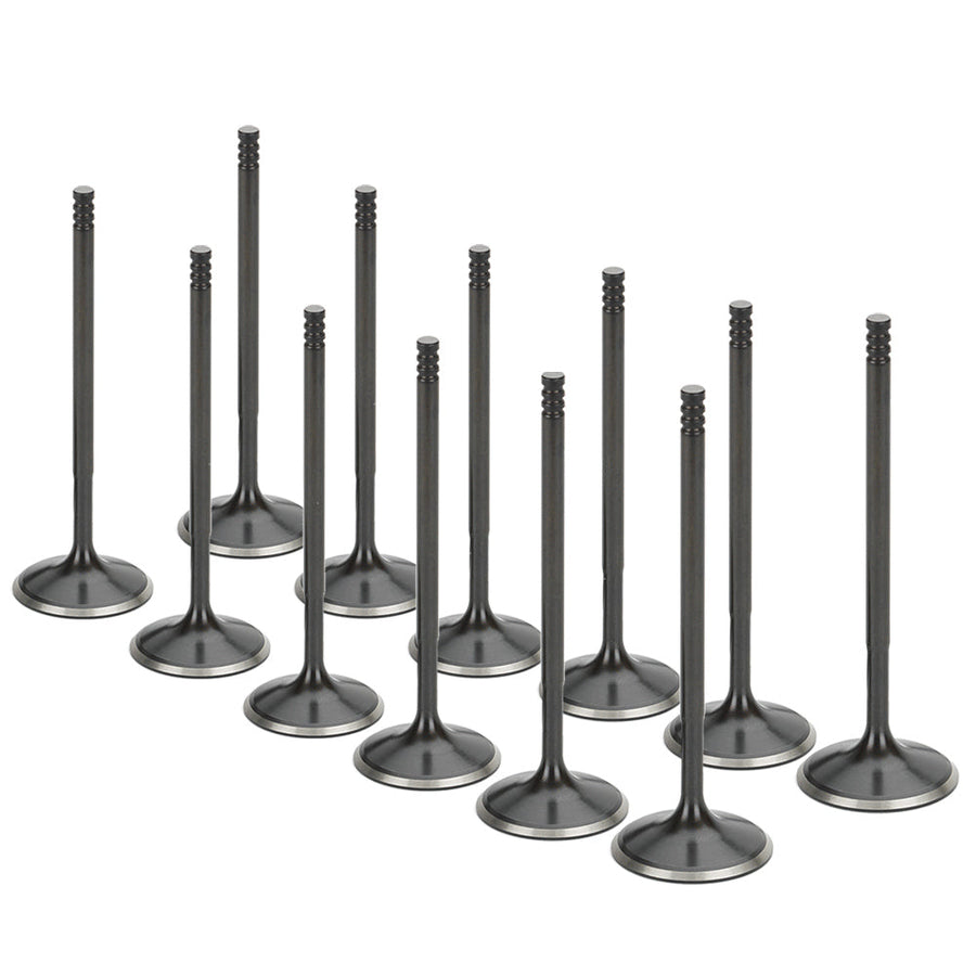 Stainless Steel Black Nitride Intake Valves for a BMW / S50B30 Euro Version | Supertech Performance Engine Valves